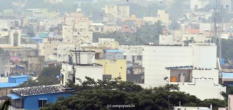 Do you wear spectacles ! - கண்ணாடியை துடைச்சு போட்டுண்டா !! Do you wear spectacles ! - கண்ணாடியை துடைச்சு போட்டுண்டா !!