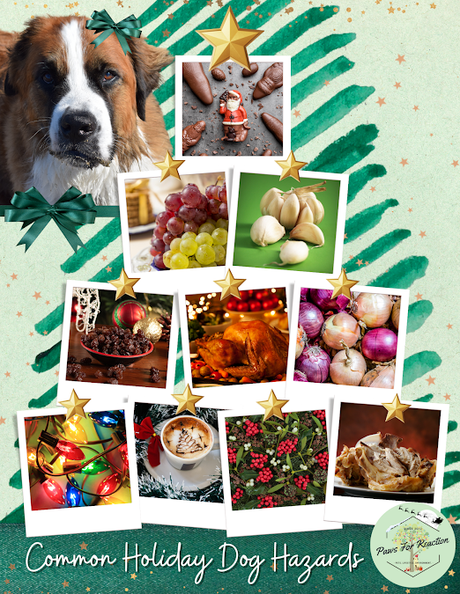 Common Christmas dog toxins, holiday hazards, potential pet poison with veterinarian Dr. Kristin Wuellner