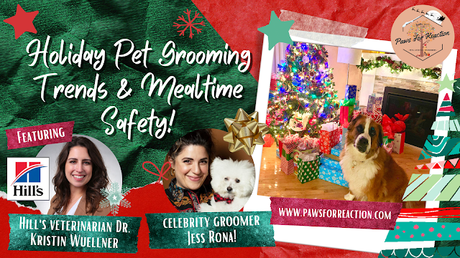 Ask a vet: Holiday Pet Hazards and Toxins
