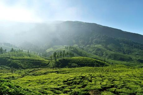 Winter - best time to visit kerala