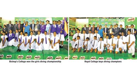 Royal, Bishop’s overall diving champs