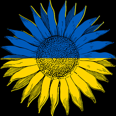 Free vector graphics of Sunflower