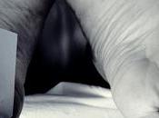 Patient Jumps from Fourth Floor, Dies