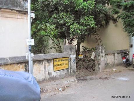 Homage to Dwaram Mangathayaru – Jewel of Thiruvallikkeni