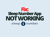 Fix: Sleep Number Working