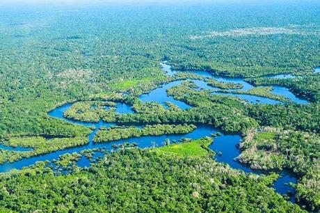 Ten Lesser Known Facts About The Amazon