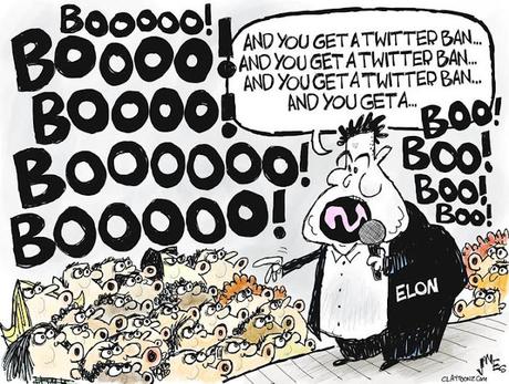 Musk Uses Twitter For Revenge