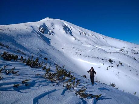 Winter Hiking: 21 Tips for Hiking in Snow and Cold Weather To Stay Safe