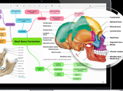 Online Study Tools Every Student Needs 2023