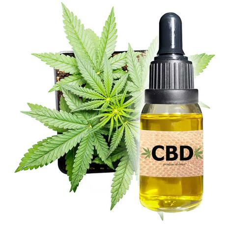 How long does it take for CBD oil to kick in for a dog?