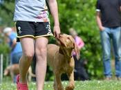 Tips Training Your Home