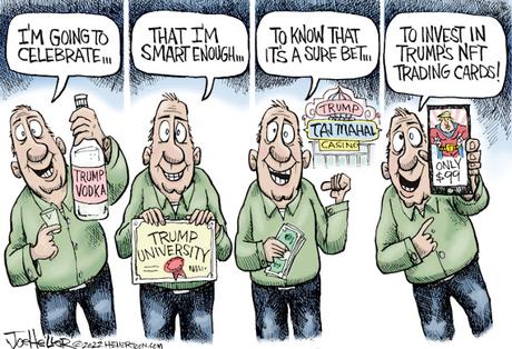 Celebrating Stupidity