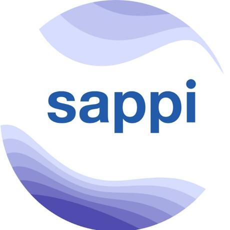 Digital Transformation in SAPPI: a global manufacturer of...