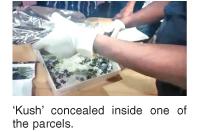 ‘Kush’ packed inside toy parcels detected, one arrested