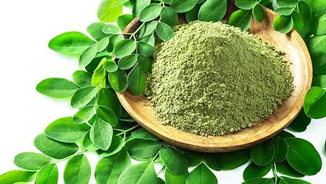 Moringa Water For Immunity, Weight Loss And More: How To Make The Drink 18 5oe9ou5o