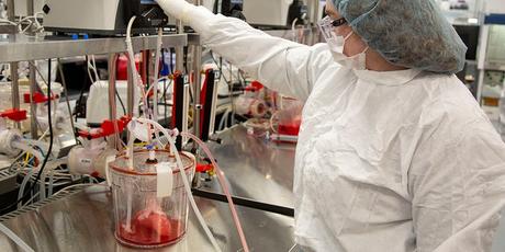 Making pig livers humanlike in quest to ease organ shortage 4 A technician replaces media in a bioreactors containing pig kidneys in a Micromatrix laboratory on Tuesday, Dec. 8, 2022, in Eden Prairie, Minn.