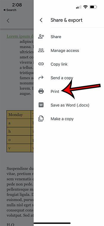 How to show vertical ruler in Google Docs