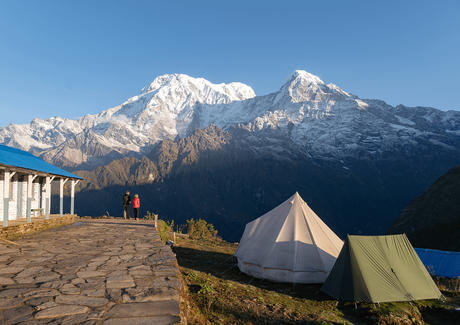 camping in the mardi himal trek