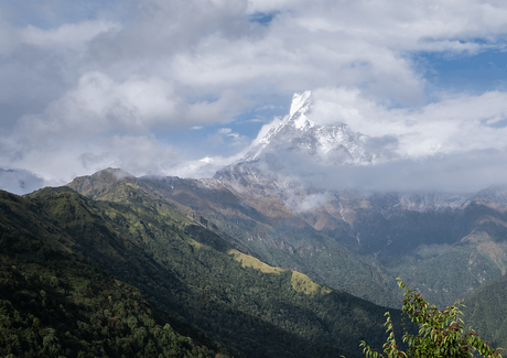 highlight of Mardi Himal Trek