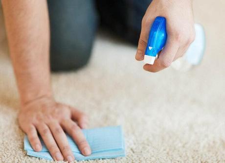 Remove all stubborn stains from your carpet in just 3 minutes with a 1 euro miracle product 3 Clean carpet 2