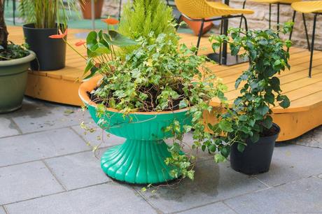 7 Tips on How to Make Your Patio Garden Even Better