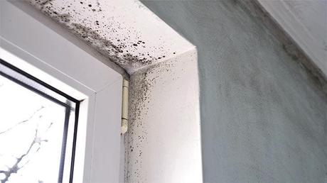 Condensation and humidity will disappear from the house by applying this magic trick 3 Traces of humidity