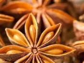 Delicious Chettinad Recipes With Star Anise