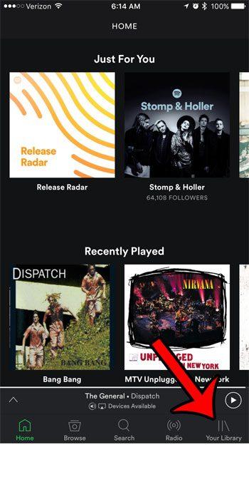 How to Stream Spotify to Firestick from iPhone