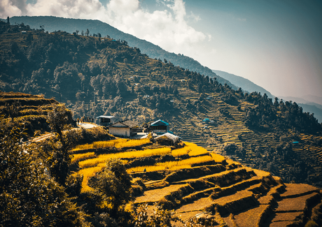 Teahouse in mardi himal trek