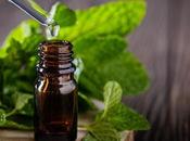 Keep Mice Away from House with Natural Methods?