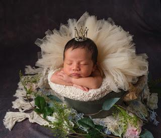 Newborn Shoot: Lil Pumpkin Studio