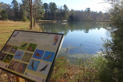 WALK IN THE WOODS: Bromley Family Nature Reserve, Chapel Hill, NC