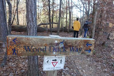 WALK IN THE WOODS: Bromley Family Nature Reserve, Chapel Hill, NC
