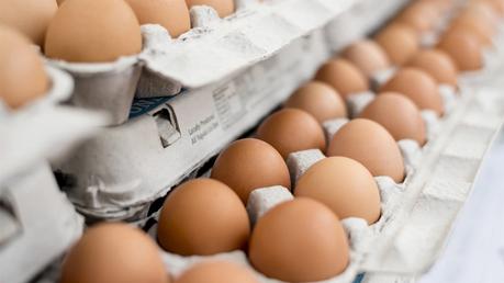 Cabinet approves import of eggs