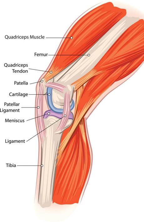 Infrapatellar Fat Pad Syndrome