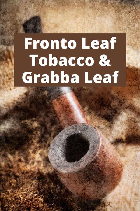 Fronto Leaf Tobacco , Grabba Leaf
fronto leaf