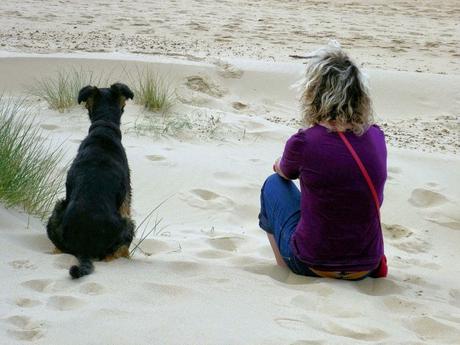 Taking your Dog to a Beach Vacation? Tips to Keep Your Dog Safe