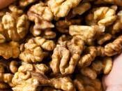 High-Protein Nuts Seeds That Must Added Weight Loss Diet