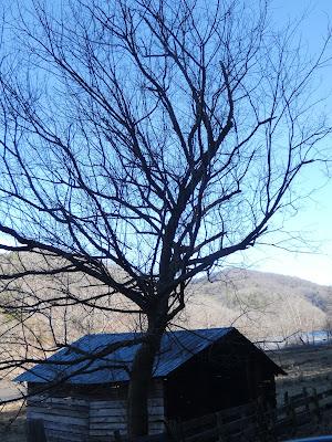 There Must Be a Theme