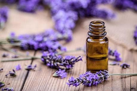 Lavender essential oil