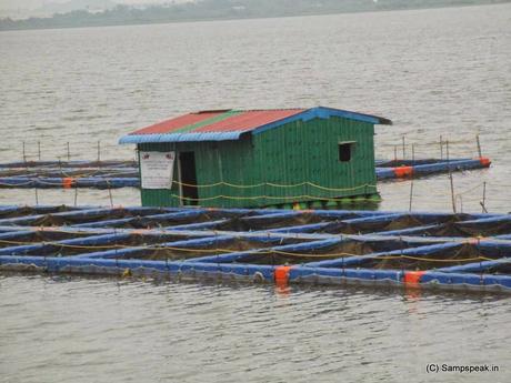 Cage fishing ~ floating Cage pisciculture in Chingleput