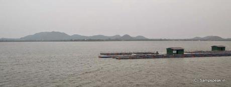 Cage fishing ~ floating Cage pisciculture in Chingleput