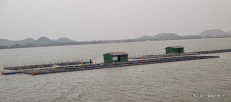 Cage fishing ~ floating Cage pisciculture in Chingleput
