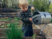 Easy Ways Reduce Water Waste Your Home Garden