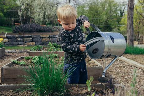 Easy Ways to Reduce Water Waste in Your Home and Garden