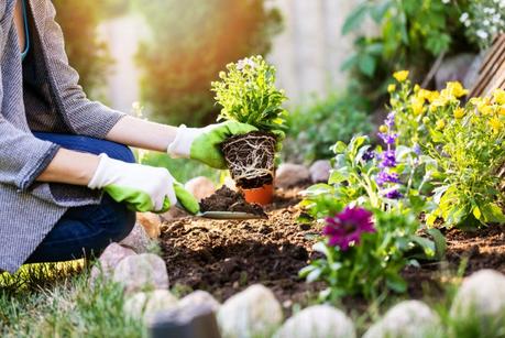 Simple Ways To Prepare Your Yard for Spring
