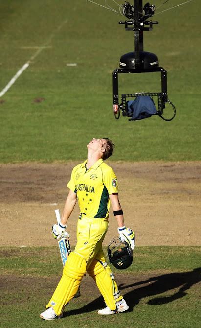 Spider .. .. ... cobweb Spider .. .. ... cobweb