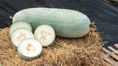 What Is Winter Melon? What Does It Taste Like? Health Benefits Of Winter Melon