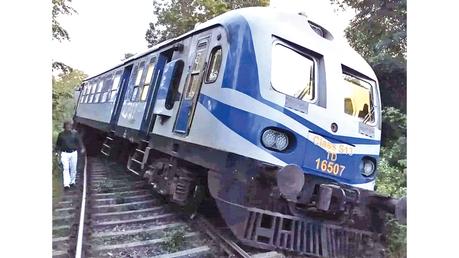 Three elephants killed in train collision