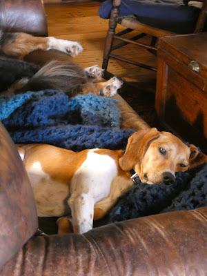 Snow, and the Birds Aren't Thrilled